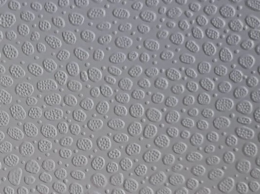 Balkónová fólie PVC